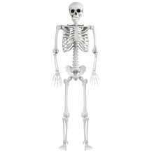 165 cm-es műanyag halloweeni csontváz mozgatható ízületekkel