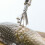Stainless Steel Coconut Grater Tool19.5cm 7