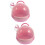 2Ensembles Cage Rose Voyage Pour Oiseaux Animaux De Compagnie 6
