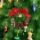 Mini Christmas wreath with gold bells 3-pack 2