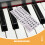 8Sheets DIY Removable PVC Piano Stickers Multi-Instrument Note Guide 5