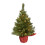 Pre-Lit Tabletop Christmas Tree Warm White LED PVC PE Tips 6
