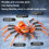 Robot Spider Action Figure, T13 PVC Model, Multi-Joint Movable, 3D Simulation with Suction Cup – Wall/Window/Desktop Decor 4