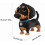 Σετ Κατασκευών Μαύρου Σκύλου με Ζώα για Αγόρια Κορίτσια 14+ Δεν Είναι Συμβατό με Lego 4