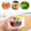Small Garlic Mincer Vegetable Cutter Wireless Manual Gingers Crusher for Efficient Preparation Kitchen Gadget 2