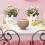 Condiment Containers With Lids Coconut Shell Cup Cocktail 5