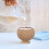 Condiment Containers With Lids Coconut Shell Cup Cocktail 6