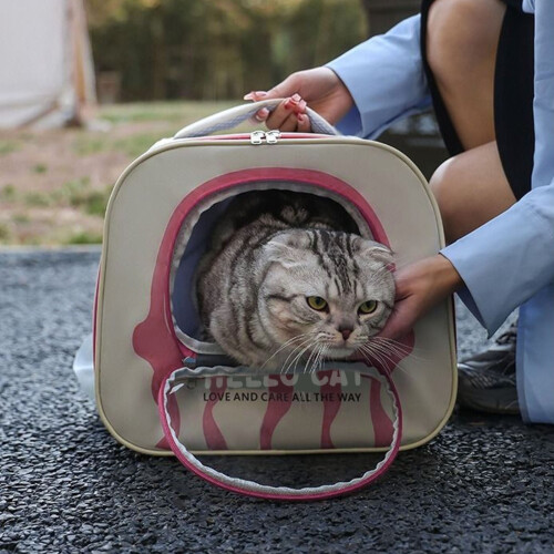Σακίδιο πλάτης για κατοικίδια κάτω των 5$! Φορητός, αναπνεύσιμος και αδιάβροχος 1