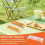 st. klara akrylformar för servering, macaron/biscuitdisplay – rektangulär matservering för hem, bröllop, fest (kompatibel med standard) 6