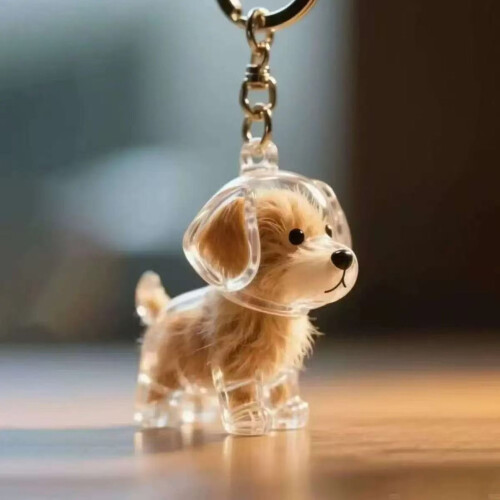 Chaveiro Cápsula para Guardar Pelos de Cachorro – Transparente e 2