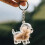 Chaveiro Cápsula para Guardar Pelos de Cachorro – Transparente e 5