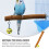 1Set Bird Perch Stand for Birds Cage Accessory Chewing Playing 7.5x2.8in 5