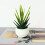 12” Artificial Mini Bonsai Tree in Plastic Pot (2 Count) 4