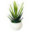 12” Artificial Mini Bonsai Tree in Plastic Pot (2 Count) 5