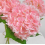 Real Touch Blue Hydrangea Artificial Flowers with Stems, 3 Pcs, for Home, Wedding, Outdoors – Compatible with Vase 3