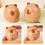 Capybara Cartoon Timer 60-Minute Manual Countdown Toy 3