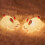 Veilleuse LED lapin en silicone ABS à luminosité réglable 7