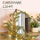 Pinecone Light String, Christmas Decorative Garland, Battery Operated, with Timer Function, for Indoor Outdoor Decor, LED Pinecone Lights | Green 5