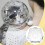 Cat Scratch Prevention Ball Mask Transparent Breathable 6