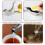Bird-Shaped Lemon Juice Extractor 304 Stainless Steel 2-Pack 5