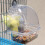 Bird Cage Feeder Transparent Plastic Easy to Install and 2