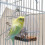 Bird Cage Feeder Transparent Plastic Easy to Install and 5