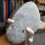 Soft Rat Plush Toy – Realistic Cuddle Pillow, 7.8" and 4