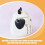 Decorative Tea Kettle Ceramic Pot Multi 1Pack 4