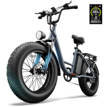 URLIFE 20" Fat Tire Electric Bike 48V15.6Ah 25km/h