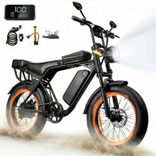 26" Elektrische Fiets-Afneembare Batterij 48V15Ah-Motor 250W-Actieradius 100km