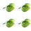 Αιώρα Betta Fish Leaf με φυσική εμφάνιση, χώροι αναπαραγωγής, κρεβάτι ανάπαυσης, κρυψώνα 5