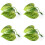 Αιώρα Betta Fish Leaf με φυσική εμφάνιση, χώροι αναπαραγωγής, κρεβάτι ανάπαυσης, κρυψώνα 8