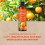 Vitax Vitax Citrus Liquid Feed 250ml Concentrated 4