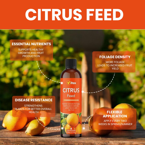 Vitax Vitax Citrus Liquid Feed 250ml Concentrated 1