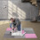 Puzzle Protective Mat, 60x60x1cm, 9-Piece Set, Gray/Pink 4