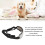 Dog Goggles PC UV Wind Dustproof Silver-Med-Lg 3