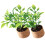 4 stuks mini potted plants kunstmatig, house decor, 100% polyester 3