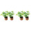 4 stuks mini potted plants kunstmatig, house decor, 100% polyester 4