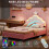 3ft Single Upholstered Bed Velvet with LED Light 4