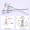 2Pcs Double/Single Layer Luminously Squid Hook Umbrellas Hook Replacement Squid Live Shrimp Hook Fishing Accessories 8