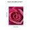 Toile décorative Rose rose vif 40 x 50 cm 3