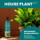 Vitax Vitax House Plant Feed Concentrated  Liquid 250ml 8