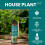 Vitax Vitax House Plant Feed Concentrated  Liquid 250ml 10