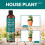 Vitax Vitax House Plant Feed Concentrated  Liquid 250ml 5