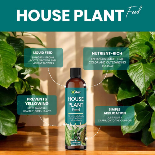Vitax Vitax House Plant Feed Concentrated  Liquid 250ml 1