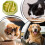 Comedouro lento para cães com design anti-engasgo (1 unidade) 4