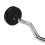 20 kg gummibelagd Curl Bar - Gymutrustning 2