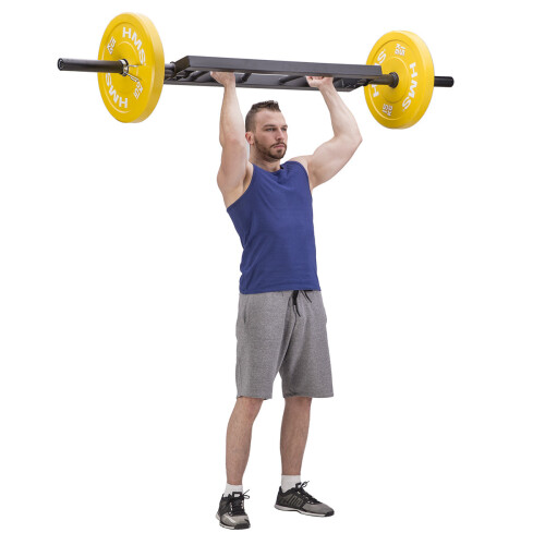 Tricepsstang, 20 kg, stalen constructie 1