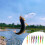 Glow Swimbait - Flat, Low Wind, Fish Attractor 3