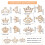 Broches couronne en strass, or clair, 9 pièces 2